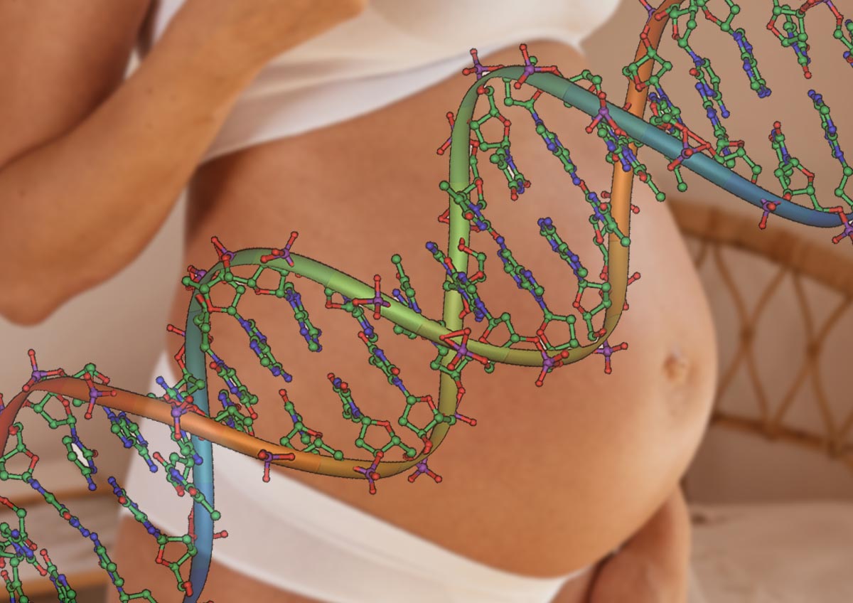 Генетические обследования во время беременности